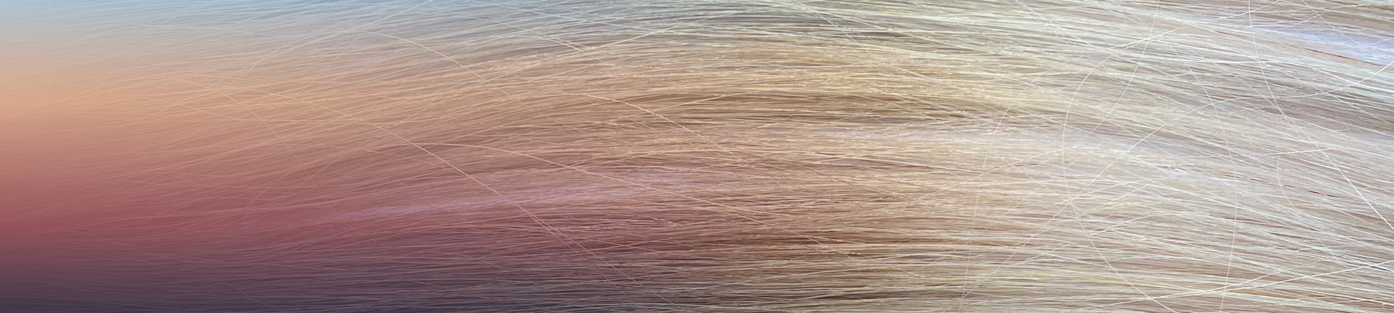 header_blonde_soft_rooth-1