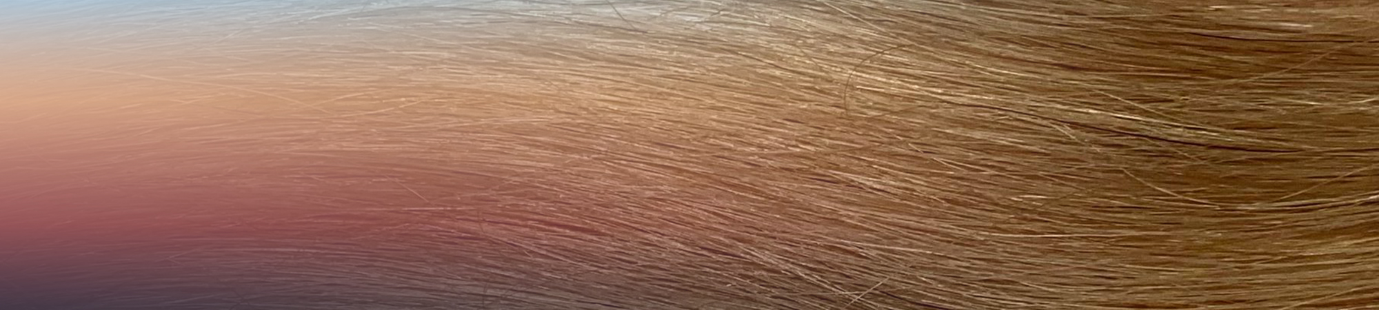 header_warm_blonde-1