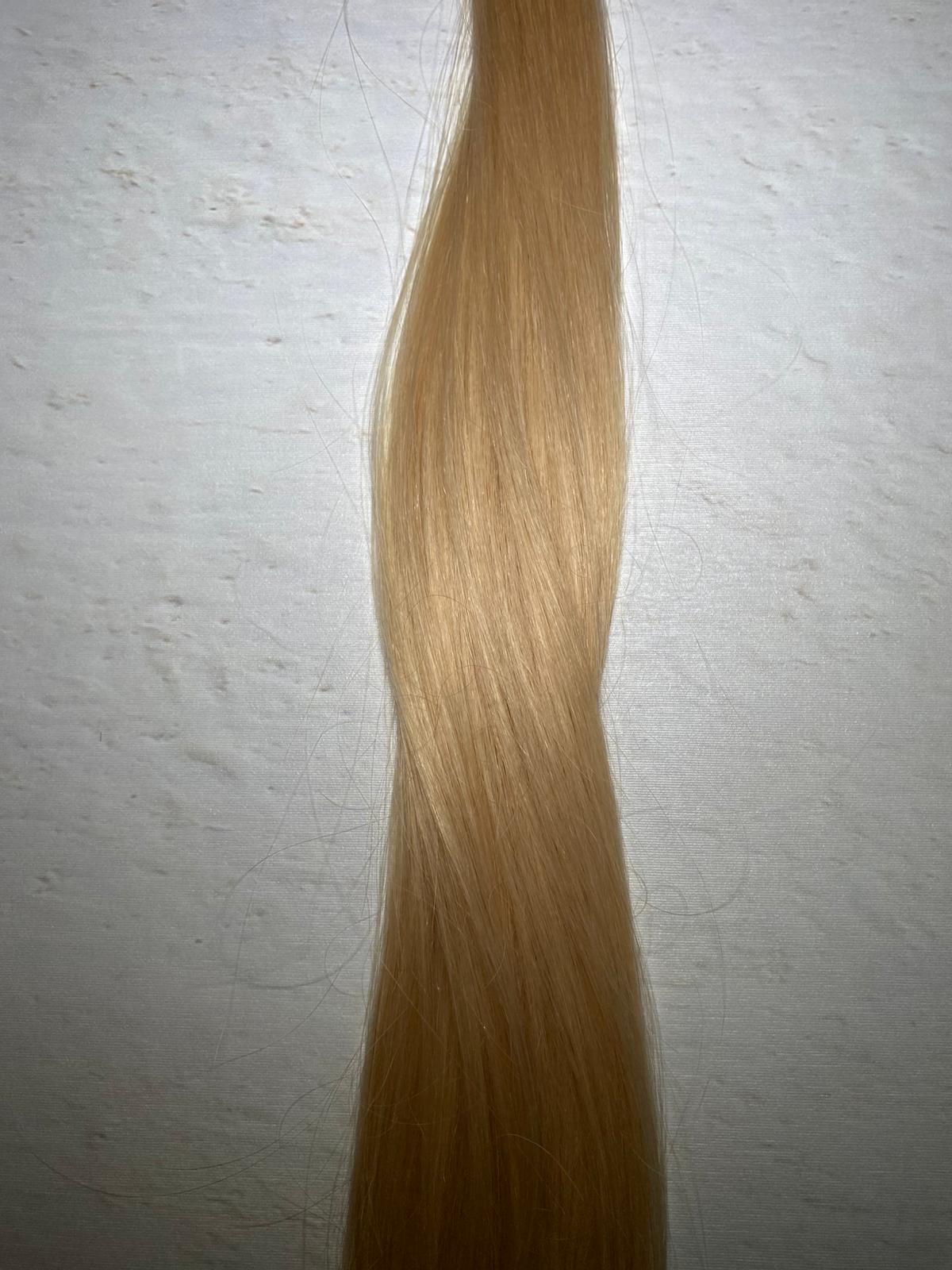 Honey Blonde - Honey 3 - Honey Blonde