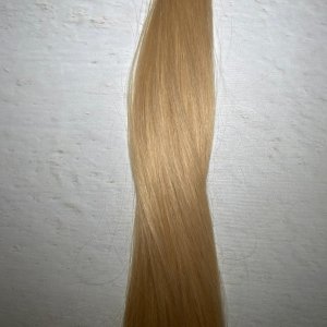 Honey Blonde - Honey 2 - Honey Blonde